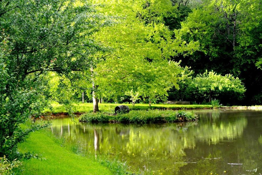 Domaine De Varenne Bed & Breakfast Saint-Amand-en-Puisaye Dış mekan fotoğraf